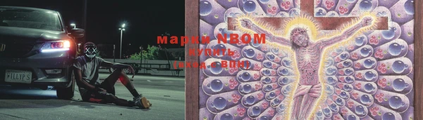 спиды Зеленокумск