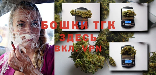 стаф Коряжма