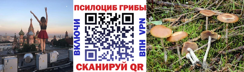 Псилоцибиновые грибы Magic Shrooms  Няндома 