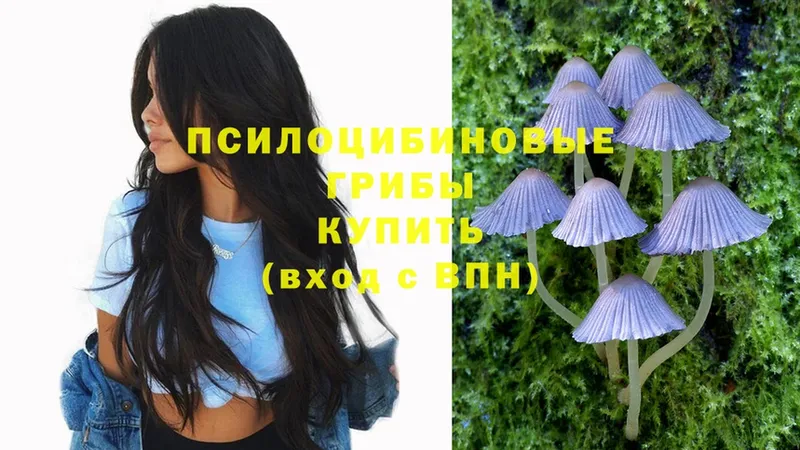 Галлюциногенные грибы Cubensis  Няндома 